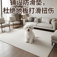 小型犬家长必看：狗狗髌骨脱位手术近万，预防其实每天不到一顿早饭钱