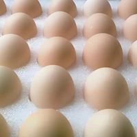 可生食鸡蛋值不值？先看完这3个真相