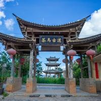 茶叶起源真相：神农不是第一人，西南这片土地才是茶根
