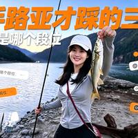 别再被"四款饵走天下"骗了！老手用实战揭穿真相