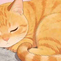 喊名字猫装聋作哑N年？日本上智大学实验揭开真相：它心里门儿清
