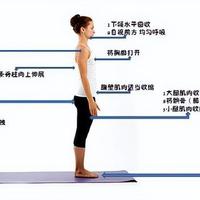 靠墙站被吹上天，你可能白站了！每天5分钟正确姿势全解析