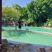 三伏天泡温泉才是祛湿王炸？老中医揭秘：夏季养生别只知道吹空调