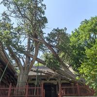 晋祠水母楼藏着个村妇铜像,500年前坐瓮镇水封神,背后故事比传说还离奇