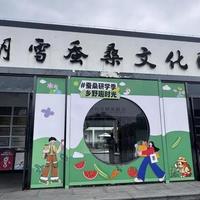 太湖雪蚕丝被全系列测评：连续7年销冠到底值不值看完这篇就懂