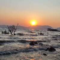 滇池湿地公园太多怎么选?本地人教你按需求对号入座