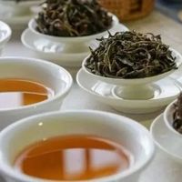 老茶鉴别就看这6点，少交学费少踩坑