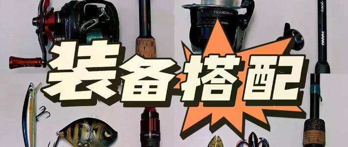 路亚软饵别乱买了！老手教你根据鱼情和水底环境精准选饵，少花冤枉钱