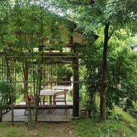 家庭聚餐点菜别再瞎点了！记住这个万能公式，够吃不浪费还有面子