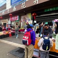 昆明斗南花市生存指南：日场夜场怎么选、雨季怎么避坑、发货怎么省钱一次说清