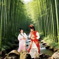 贾宝玉从不说“我爱你”，却让林黛玉安心了两百年