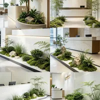 办公绿意与庭院主景 | 绿植造景7.31日报