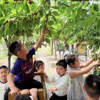亲子采摘套路深：花120块摘3颗烂草莓背后，藏着你不知道的三个大坑