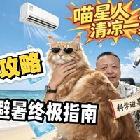 盛夏降温与健康观察 | 养猫7.31日报
