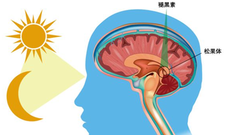 脑白金到底值不值买？不是神药也不是骗局，扒开成分说清楚