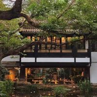 两毛门票三四十咖啡城里人抢着买单公园咖啡馆正在批量制造来了就不想走的魔力
