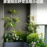 低维护阳台与暗角造景 | 绿植造景8.1日报