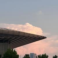 红毯气垫、黄皮腮红 | 彩妆8.1日报