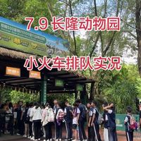长隆排队真相：工作日小火车15分钟，周末2小时！2026避坑省钱攻略来了
