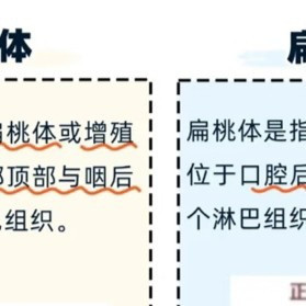 重庆儿童扁腺肥大科普：儿童扁桃体手术对免疫力影响