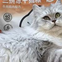 鲜肉全价猫粮哪个品牌好？不同年龄段怎么挑选性价比高的猫粮