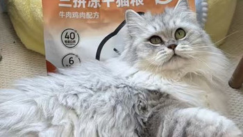 鲜肉全价猫粮哪个品牌好？不同年龄段怎么挑选性价比高的猫粮