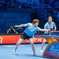 2026乒超女团收官日！山东双雄争榜首，三队血拼最后两张淘汰赛门票