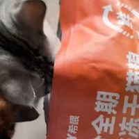2026最新十大猫粮排行榜怎么选？测评哪个牌子猫粮增肥发腮好