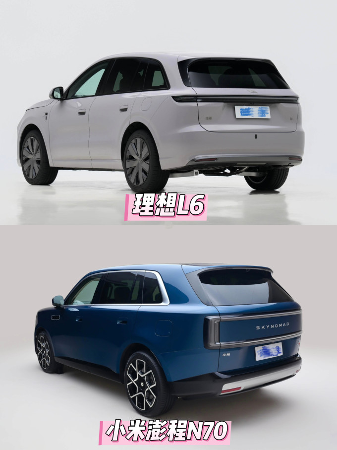 理想新能源车