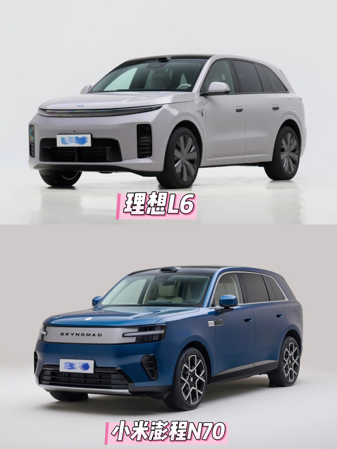 理想新能源车