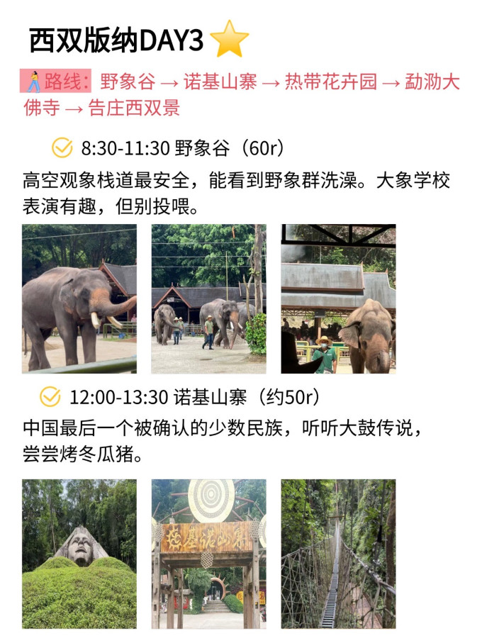 国内度假