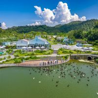 12年废弃矿坑变非洲草原！中国首个野生动物自驾王国，27公里穿越十大部落