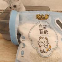 混合砂平价天花板？Petshy 5秒结团低粉尘，单猫家庭性价比实测