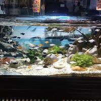 预算只有几百块能养鱼吗？新手配置方案全公开