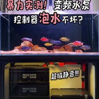 鱼缸过滤桶进口还是国产？拆机对比后说实话了