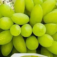 中国，最好吃的“葡萄”在哪里？哪个品种最好吃？来，涨知识了