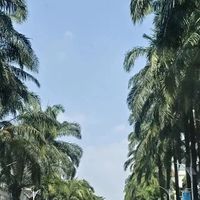 攀岩暴涨225%、雪场搜索增22倍:2026夏天消费版图被这届年轻人重塑