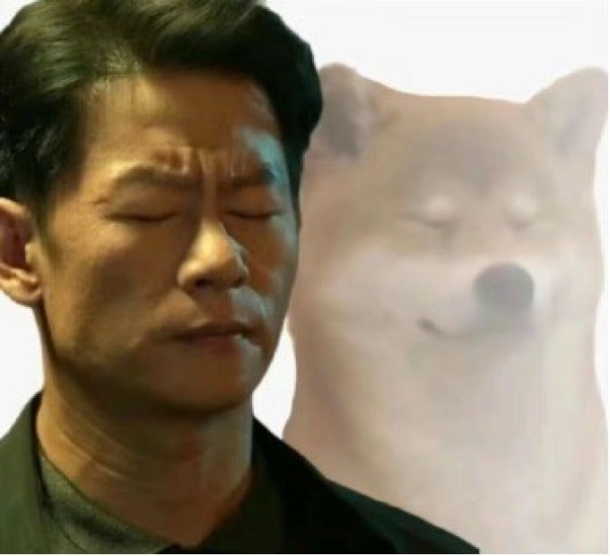 电视