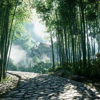 实测江浙沪避暑地:莫干山、安吉真的凉?这几条路线避坑指南