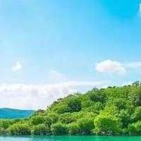 2026 家用美白牙膏怎么选？6款高口碑亮白产品全面解析