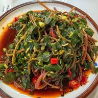 夏天超火的“长寿菜”，有人当宝贝有人险出事！营养师说实话