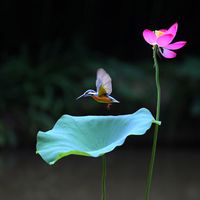 掌握7类题型，轻松应对面试