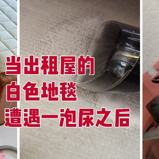 当出租屋铺了八个月的白色地毯遭遇了一泡尿之后……