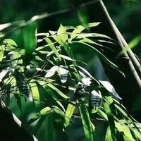 慢性低度炎症正在掏空你的身体！收好这份抗炎饮食指南