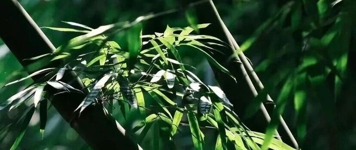 慢性低度炎症正在掏空你的身体！收好这份抗炎饮食指南