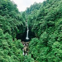 成都周边这片原始森林藏着小高黎贡,12公里野路环线攻略来了