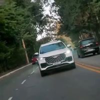 海外华人换车指南：比亚迪/奇瑞/MG谁更适合你？老司机掏心窝子建议