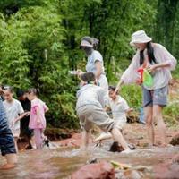 2026暑期亲子避暑游攻略：贵州云南东北怎么选？跟着课本旅行成最大黑马