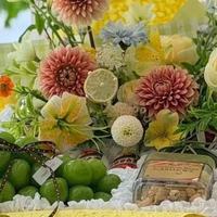 牙黄不用愁！2026 高口碑美白牙膏精选清单，深层去渍提亮
