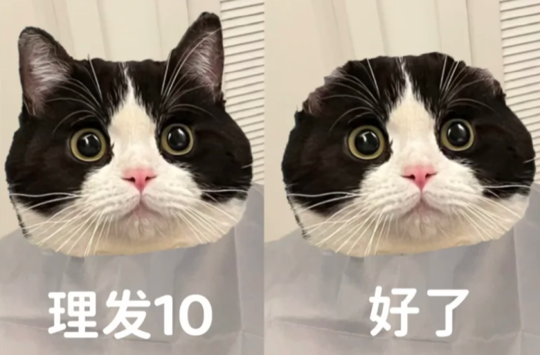 评论有奖|别再跟Tony说“短一点就行”!AI兄弟先帮你试发型!